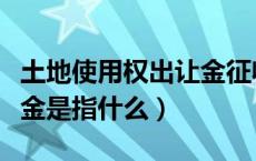 土地使用权出让金征收标准（土地使用权出让金是指什么）