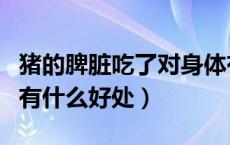 猪的脾脏吃了对身体有哪些功效（猪脾脏吃了有什么好处）