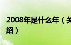2008年是什么年（关于2008年是什么年的介绍）