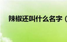 辣椒还叫什么名字（长辣椒叫什么名字）