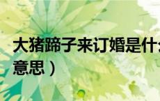 大猪蹄子来订婚是什么梗（大猪蹄子是什么梗意思）