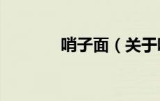 哨子面（关于哨子面的介绍）