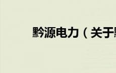黔源电力（关于黔源电力的介绍）
