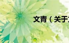 文青（关于文青的介绍）