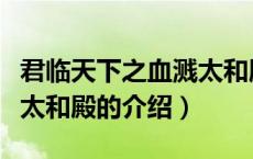 君临天下之血溅太和殿（关于君临天下之血溅太和殿的介绍）