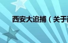 西安大追捕（关于西安大追捕的介绍）
