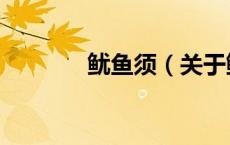 鱿鱼须（关于鱿鱼须的介绍）