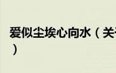 爱似尘埃心向水（关于爱似尘埃心向水的介绍）