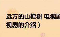 远方的山楂树 电视剧（关于远方的山楂树 电视剧的介绍）