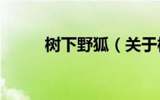 树下野狐（关于树下野狐的介绍）