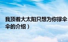 我顶着大太阳只想为你撑伞（关于我顶着大太阳只想为你撑伞的介绍）