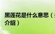 黑莲花是什么意思（关于黑莲花是什么意思的介绍）