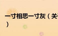一寸相思一寸灰（关于一寸相思一寸灰的介绍）