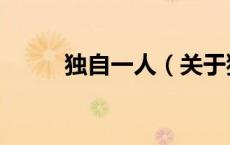 独自一人（关于独自一人的介绍）