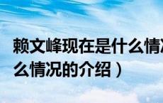 赖文峰现在是什么情况（关于赖文峰现在是什么情况的介绍）