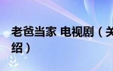 老爸当家 电视剧（关于老爸当家 电视剧的介绍）