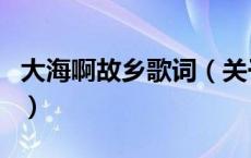 大海啊故乡歌词（关于大海啊故乡歌词的介绍）