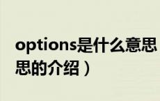 options是什么意思（关于options是什么意思的介绍）