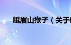 峨眉山猴子（关于峨眉山猴子的介绍）