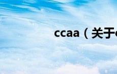 ccaa（关于ccaa的介绍）
