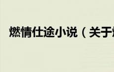 燃情仕途小说（关于燃情仕途小说的介绍）