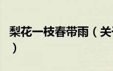 梨花一枝春带雨（关于梨花一枝春带雨的介绍）