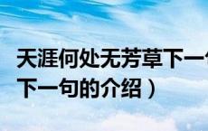 天涯何处无芳草下一句（关于天涯何处无芳草下一句的介绍）