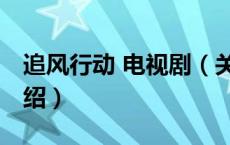 追风行动 电视剧（关于追风行动 电视剧的介绍）