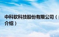 中科软科技股份有限公司（关于中科软科技股份有限公司的介绍）