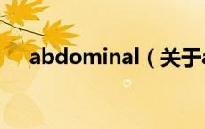 abdominal（关于abdominal的介绍）