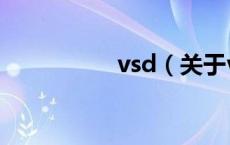 vsd（关于vsd的介绍）