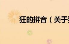 狂的拼音（关于狂的拼音的介绍）