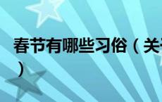 春节有哪些习俗（关于春节有哪些习俗的介绍）