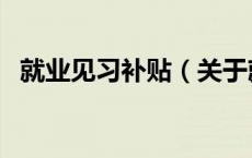 就业见习补贴（关于就业见习补贴的介绍）