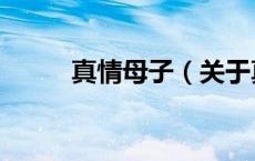真情母子（关于真情母子的介绍）