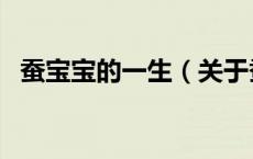 蚕宝宝的一生（关于蚕宝宝的一生的介绍）