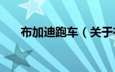 布加迪跑车（关于布加迪跑车的介绍）