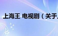 上海王 电视剧（关于上海王 电视剧的介绍）
