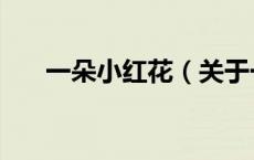 一朵小红花（关于一朵小红花的介绍）