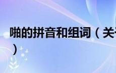 啪的拼音和组词（关于啪的拼音和组词的介绍）