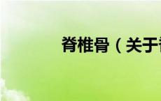 脊椎骨（关于脊椎骨的介绍）