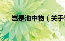 岂是池中物（关于岂是池中物的介绍）