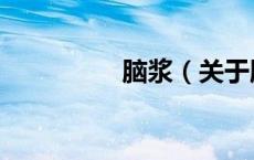脑浆（关于脑浆的介绍）