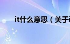 it什么意思（关于it什么意思的介绍）
