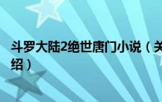 斗罗大陆2绝世唐门小说（关于斗罗大陆2绝世唐门小说的介绍）