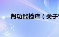 肾功能检查（关于肾功能检查的介绍）