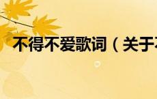 不得不爱歌词（关于不得不爱歌词的介绍）