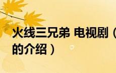 火线三兄弟 电视剧（关于火线三兄弟 电视剧的介绍）