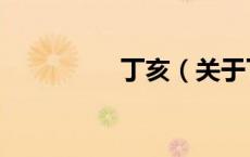 丁亥（关于丁亥的介绍）