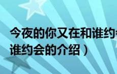 今夜的你又在和谁约会（关于今夜的你又在和谁约会的介绍）